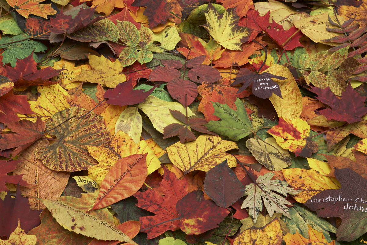 Installation View Of Fallen At The FLAG Art Foundation, New York, NY ...